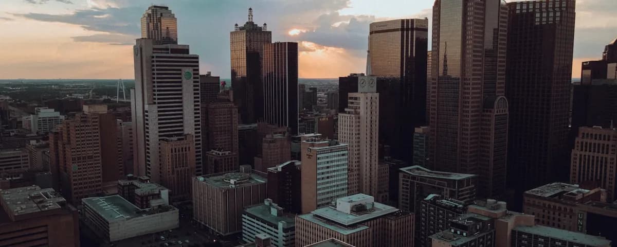 Dallas-Fort Worth mold removal professionals