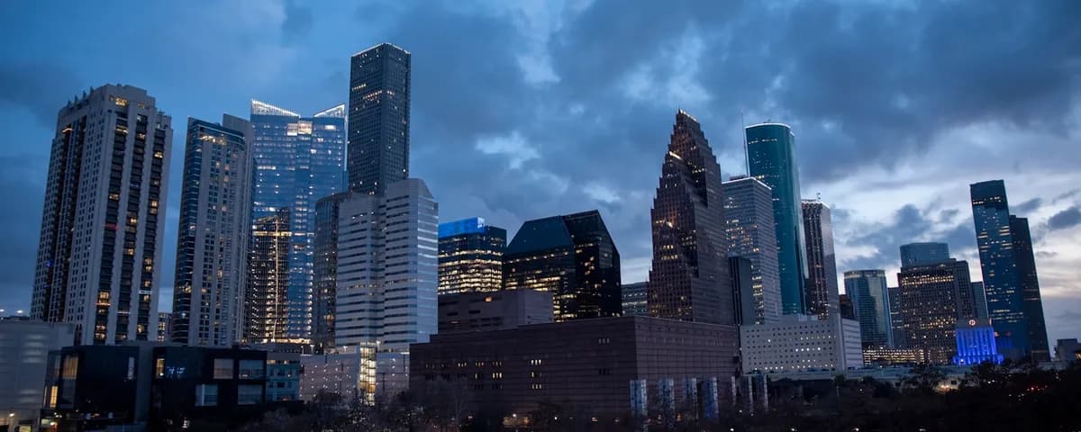 Houston mold inspection professionals