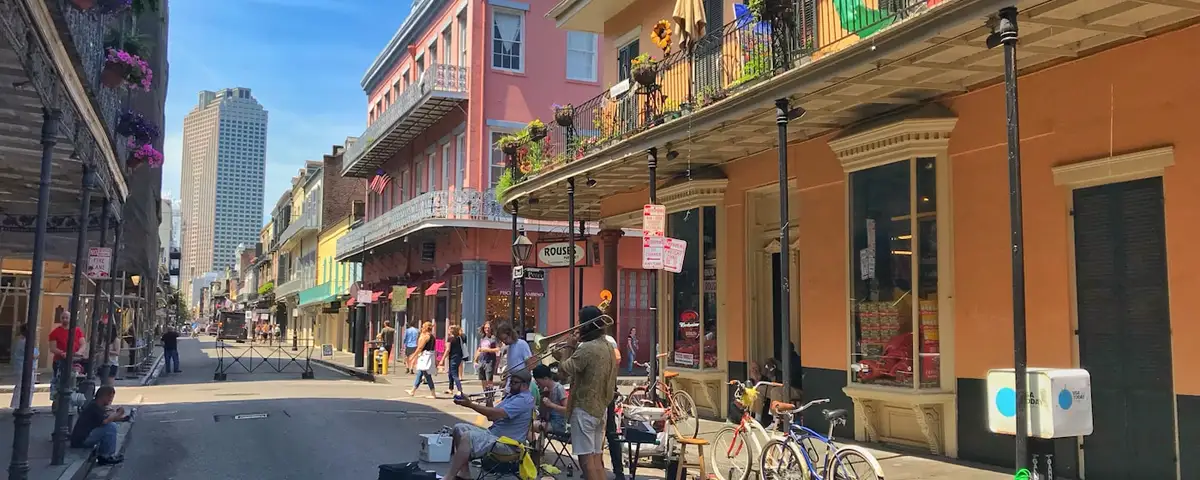 New Orleans mold removal professionals