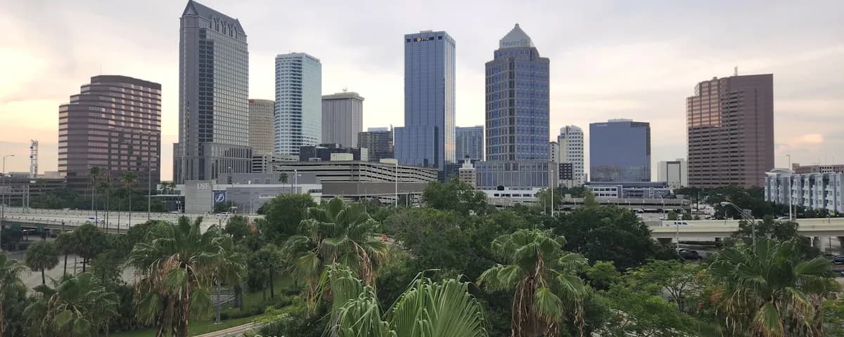 Tampa-St. Petersburg mold removal professionals